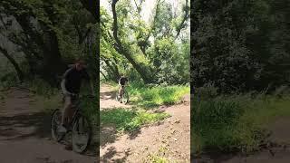 random dirt jumps