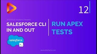 Run Apex Tests in SFDX using Salesforce CLI | SFDX and Salesforce CLI Course