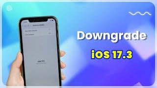 [No Data Loss] How to Downgrade iOS 17.4/ iOS 17.3 to iOS 17.2