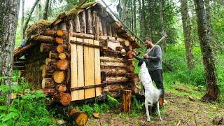 Building a Log Cabin: Finishing Touches and Reflection