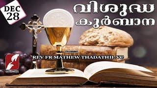 HOLY MASS LIVE @ 6 AM, 28 DEC 2024|FR MATHEW THADATHIL VC|MALAYALAM QURBANA|TODAY MASS|GOODNESS TV