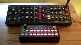 Korg SQ1 to Behringer Model D - CV!