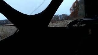 Levi's Buck 2023 Bow Hunt!