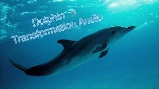 Dolphin  Transformation Audio