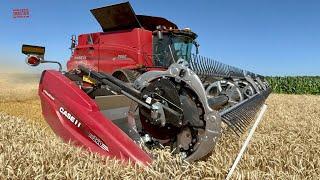 CASE IH 8260 Axial-Flow Combine Harvesting Wheat