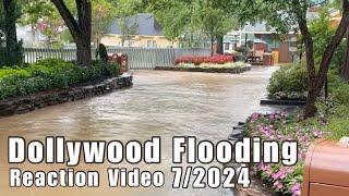 Dollywood Flooding Reaction Video @artiststorytellerdonny