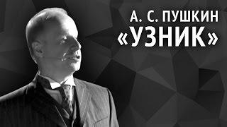 Александр Пушкин. Узник