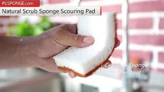 Zero Waste sisal cellulose sponge Biodegradable sponges nonabrasive scouring pad