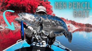 Giant Snakehead Fishing using PENCIL BAIT! Sight Casting ONLY! #giantsnakehead #ikantoman #snakehead