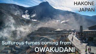 【JAPAN TRAVEL：OWAKUDANI in HAKONE】Day trip from Tokyo　Magnificient landscape and nature