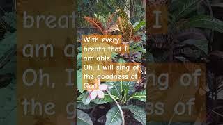 Goodness of God #faith #lyrics #goodnessofgod #subscribe