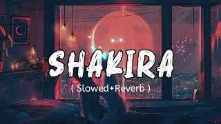 Shakira Song (Slowed+Reverb)