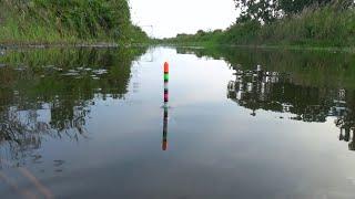 ini bukan kebetulan!! penuh ikan besar di spot tersembunyi tak satupun jejak pemancing disini