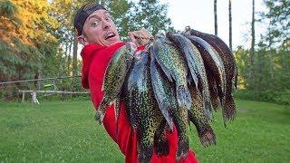 GIANT Black CRAPPIE Catch & Cook