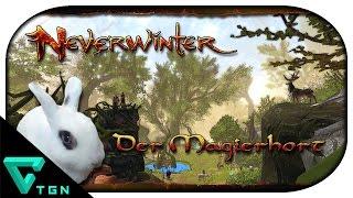 Neverwinter: Kampagnen ► Sharandar #01 - Der Magierhort (wöchentliche Quest)