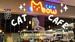 Cat Cafe |Amwaj Mall | Dhahran , Saudi Arabia