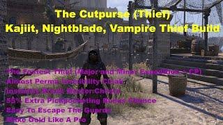 ESO Builds For Fun: "The Cutpurse" Nightblade, Khajiit Thief Build!