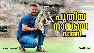 Bought new dog… പുതിയ ഒരു പട്ടി കൂടി വന്നിട്ടുണ്ട്‌ ട്ടാ... 