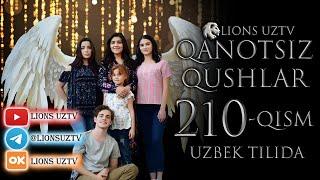 QANOTSIZ QUSHLAR 210 QISM TURK SERIALI UZBEK TILIDA | КАНОТСИЗ КУШЛАР 210 КИСМ УЗБЕК ТИЛИДА