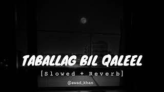 Tabalagh bil qaleel slowed and reverb