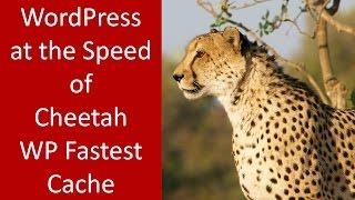 How to use WP Fastest Cache for WordPress Optimization