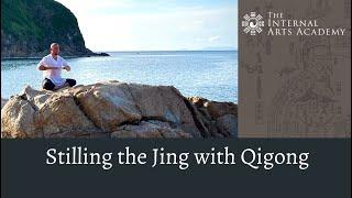 Guided Qigong for the Jing (精)