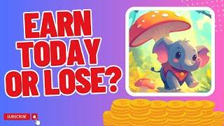 Vitality Zoo – Puzzle – Is it legit or a scam? App to Earn Money PayPal 2024