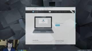 QupZilla (KDE Falkon) | Linux Web Browsers