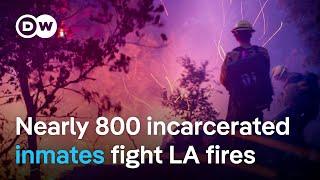 Battling LA wildfires: Nearly 800 incarcerated inmates form backbone of firefighting force | DW News