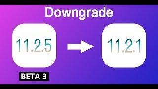 Downgrade iOS 11.2.5 Beta 3 to iOS 11.2.1 in 1 Click. No Data Loss！