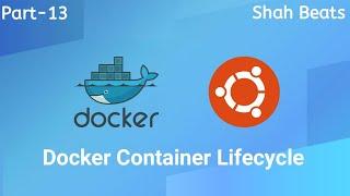 Docker Container Lifecycle