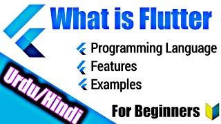 What Is Flutter Framework For Beginners