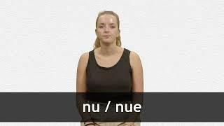 How to pronounce NU / NUE in French