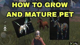 HOW TO GROW AND MATURE PET | Last Island Of Survival