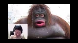 le monke unmasked