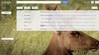 Introducing Custom Themes in Gmail