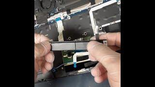 Dell Latitude touchpad buttons - fixed