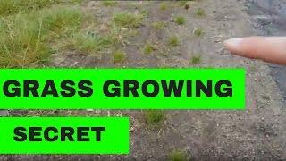 The Secret to Growing Grass without Irrigation