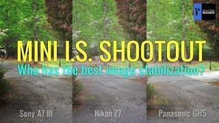 Mini I.S. Comparison: Nikon Z7 vs. Panasonic GH5 vs. Sony A7 III