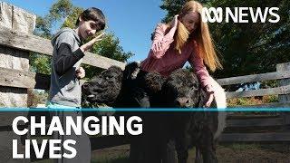 Idyllic farm will 'change the lives' of children with autism | ABC News