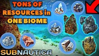 The BEST BIOME for RESOURCES in Subnautica