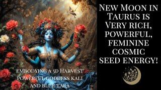 YOUR EMBODYING A POWERFUL FEMININE CREATION ENERGY, THE TURTLE, KALI, BLUE TARA, NEW MOON TAURUS