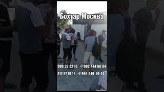 Душанбе Москва Автобус