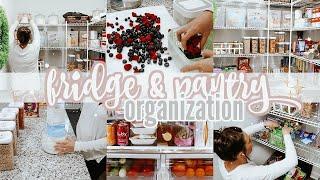 FRIDGE & PANTRY ORGANIZATION | DECLUTTER WITH ME | MORE WITH MORROWS