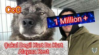 BU DEV ALFA KURDA YAKLAŞABİLEN KANGALA  50 BİN TL ÖDÜL (Tüm Türkiye ye Rest)