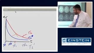 Introducing MRI: The Spin Echo (15 of 56)