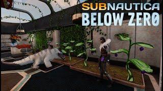 Finding The Greenhouse & Fixing The Bridge ~ Subnautica Below Zero #9