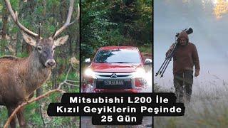 Mitsubishi L200 İle Kızıl Geyiklerin Peşinde | Wildlife Photography With Mitsubishi L200