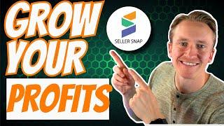Seller Snap Repricer Review and Demo for Amazon Sellers...How to Use It Tutorial!!