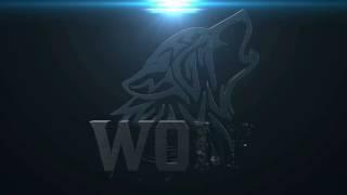 Wolf intro used 4d after effects made by NAME